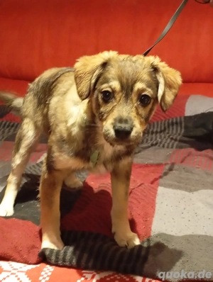 Kate freut sich auf Deinen Besuch 