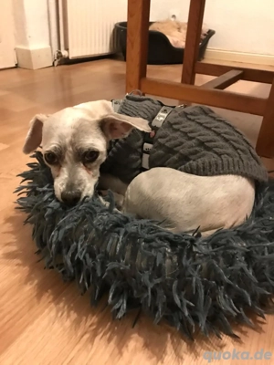 Fibi freut sich auf Deinen Besuch 