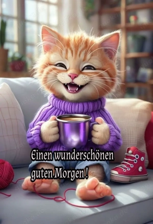 Katze gesucht weiblich