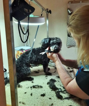 Diana's Hundesalon Oberfranken