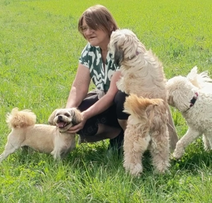 Hundepension Ronneburg in Oberfranken 