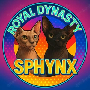 Sphynx Kitten mit Tasthaaren