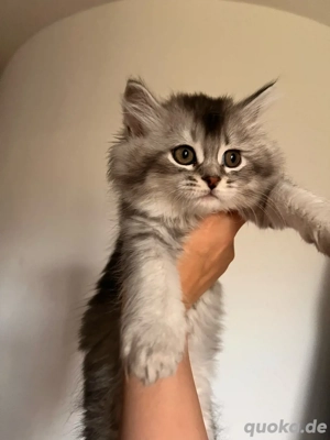 Baby BKH-abholbereit