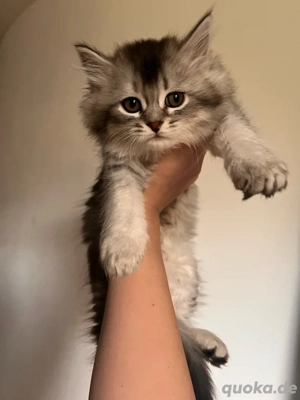 baby BKH abholbereit