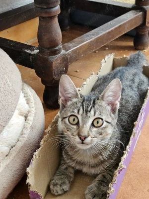 Dana und Dani suchen ihr Zuhause