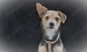 Dean, ein großer Schmuser