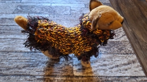 Chihuaha Welpen Hundepullover in XS  Sonderpreis