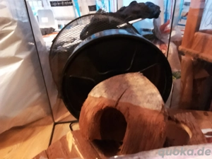 Verkaufe Hamstergehege mit Zubehör Bild 2