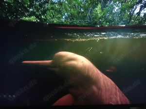 Dinner? Oder anders wünsche?