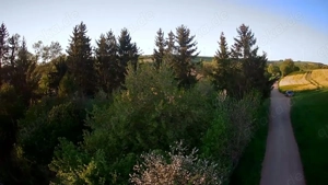 RADIKAL REDUZIERT - Freizeitgrundstück an der Pfrimm ca.1800qm