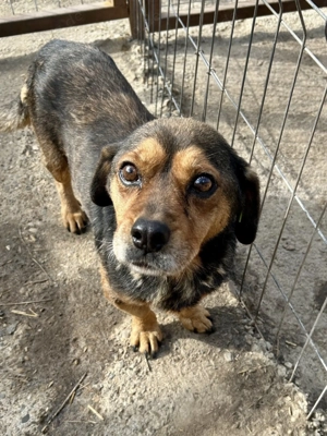 Wer gibt Teddy ein warmes Zuhause ?