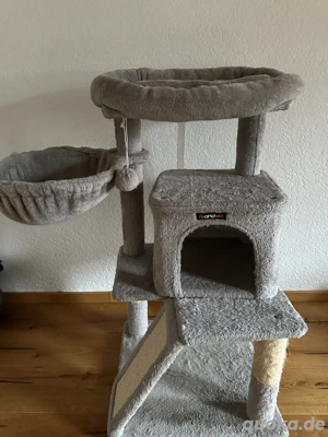 Katzen Kratzbaum 