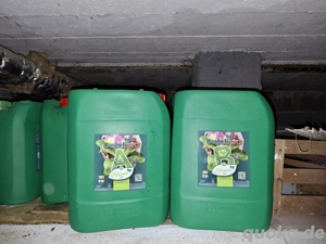 Pflanzendünger Dutch Pro Bloom Soil 20 Liter