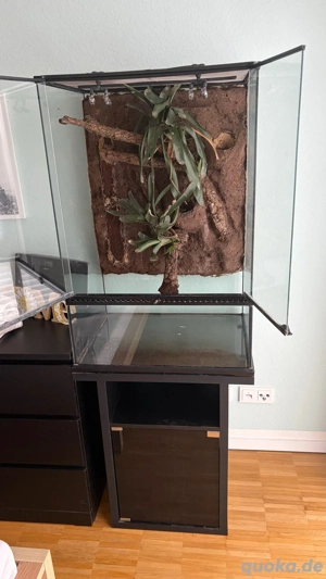 Exo Terra Terrarium 45x60x90 cm inkl. Unterschrank, Rückwand & Technik