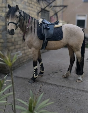 Pflegebeteiligung später RB möglich 