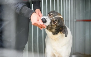 Zeynep kann tatsächlich lächeln! Bild 3