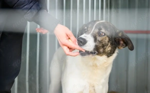 Zeynep kann tatsächlich lächeln! Bild 2