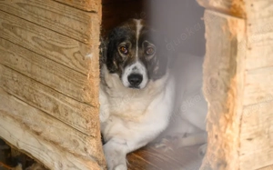 Zeynep kann tatsächlich lächeln! Bild 4