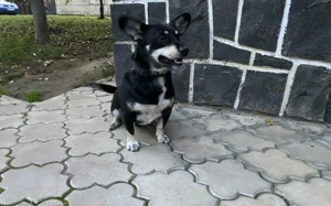 Aktiver Camino will die Welt entdecken!