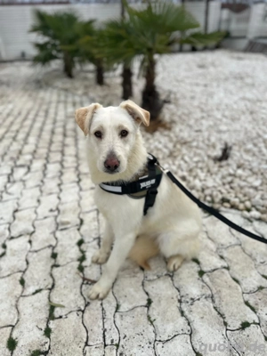 Reni freut sich auf Deinen Besuch 