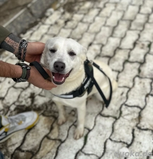 2 hübsche Mädels suchen ihr Glück 