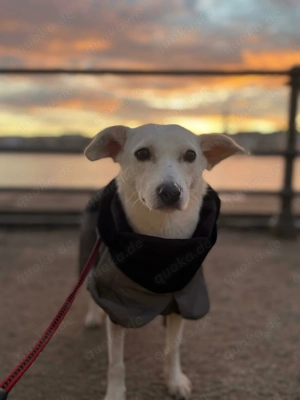 Nika - hat ein großes Herz 