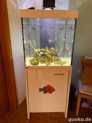 Meerwasser komplet set