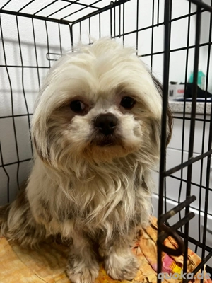 Kleiner Kerl sucht sein Glück 