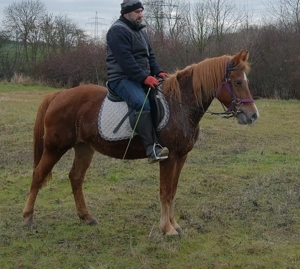 Kleinpferdstute Marlena