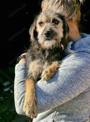 Alana sucht ihr Glück