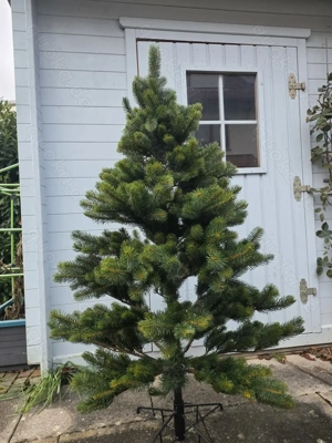 Weihnachtsbaum ca. 160 cm hoch