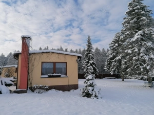 Fewo  in ruh.Lage umgeben von Wald,Wiesen + Feldern im Vogtl. Nähe Plauen Hunde erl. Silvester auch 