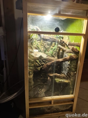 verkaufe Holz Hochterrarium 