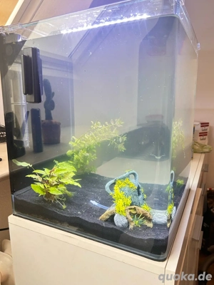 Dennerle Nano Cube 60l