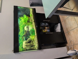 Aquarium zu verschenken Bild 2