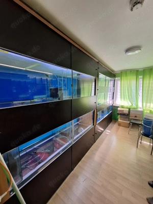 Aquarium  Zucht Anlage "komplett oder einzeln" Bild 4