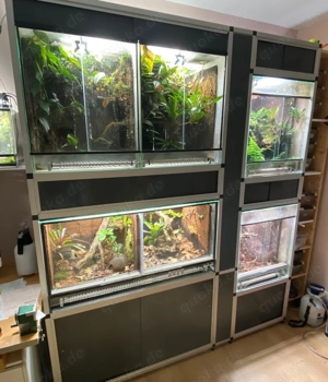Terrarienanlage 1,00 Euro bis   Uhr