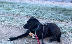 Verliebst du dich in Rajani?