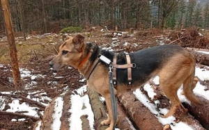 Susa sucht ihre Menschen