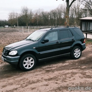 Benz M klasse 320 Automatik Vollausstattung  Bild 6