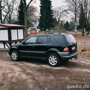 Benz M klasse 320 Automatik Vollausstattung  Bild 8