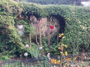 Landleben : Januar 2026 - Tier- und HousehüterIn gesucht 