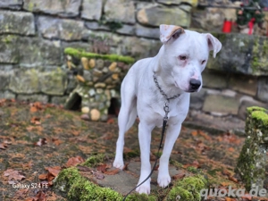 Mensch mit Erfahrung gesucht