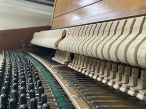 Klavier - Einsteigerinstrument Bild 4