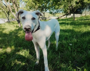 Wer zeigt dem süßen Yuri das Leben?