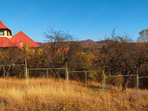 Urbanes Baugrundstück 500 qm in Câmpina   Premiumlage, am Waldrand, mit Panoramablick Bild 3