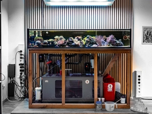 Seewasser Ablegeraquarium 160x70x30 voll