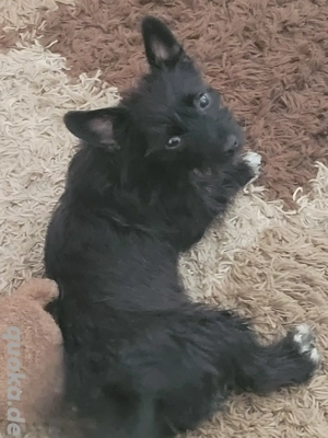 Helga sucht ein neues Zuhause 