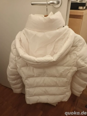 Hilfiger Winterjacke 