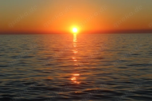 Darf ich Euch beim Sex zuschauen und anschließend die Mu...i lecken ..